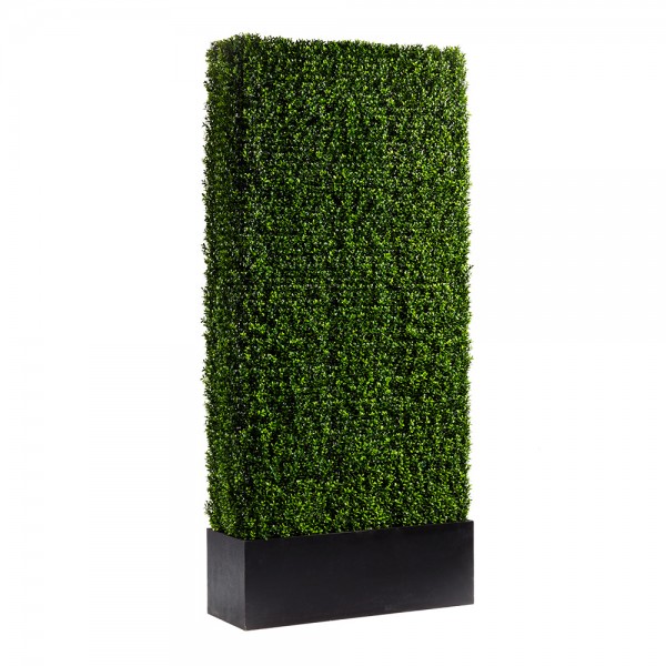 Boxwood Hedge Panels 4ft x 8ft
